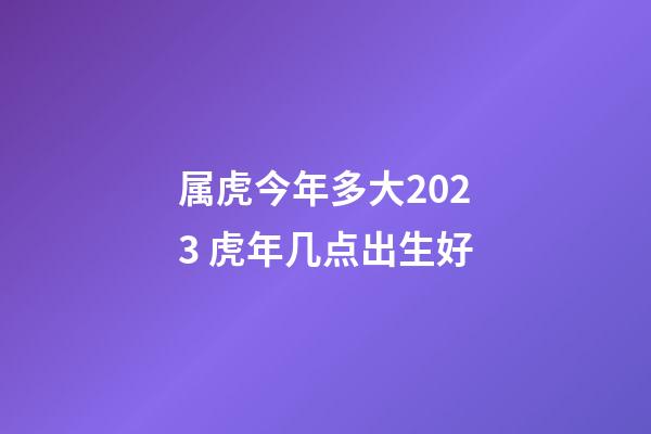 属虎今年多大2023 虎年几点出生好